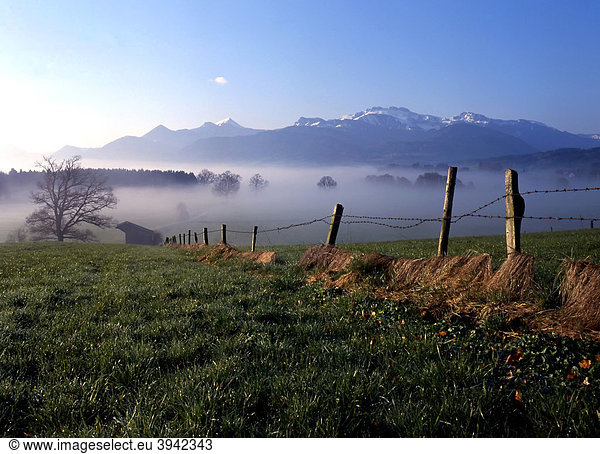 Frühnebel auf landwirtschaftlich genutzten Flächen vor den bayerischen Alpen  Chiemgau  Oberbayern  Deutschland  Europa
