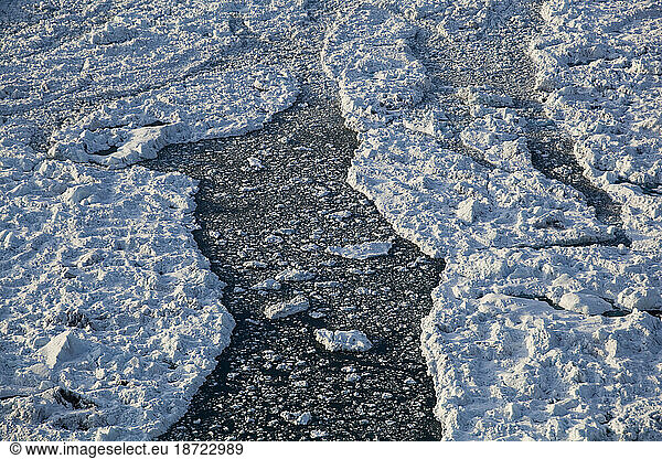 Fractured ice calved by the Columbia Glacier forms thick floating rafts in Columbia Bay  near Valdez  Alaska.