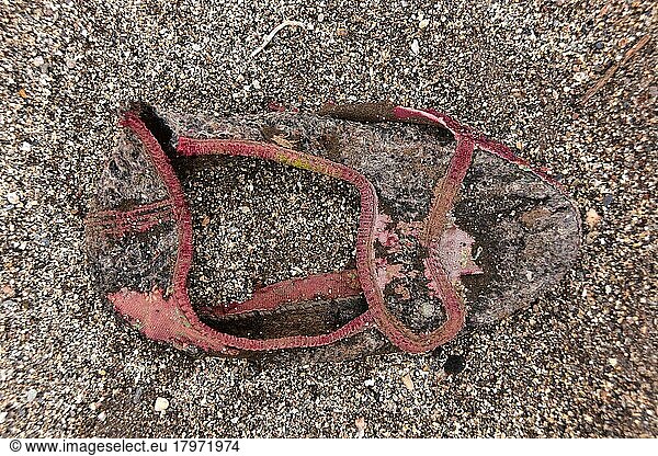 Fragment von Hausschuh am Strand  maroder Hausschuh am Boden  verrotteter Schuh  Schuhwrack  vergammelter Treter  ausgelatschter Schuh  abgetragener Schuh