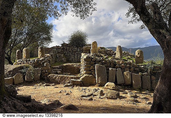 France,  Corse du Sud,  prehistoric site of Filitosa,  menhirs statues around the oppidum