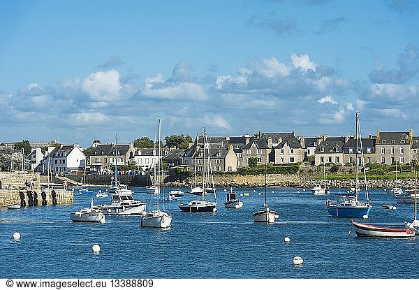 France France, Finistere, Iroise Sea, Roscoff,Marin - Rights Managed ...