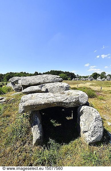 France,  Morbihan,  Carnac,  row of megalithic standing stones at Kermario