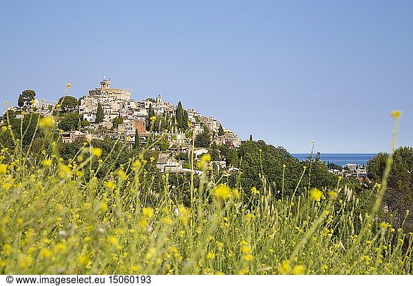France  Alpes Maritimes  Cagnes sur Mer  Haut de Cagnes neighborhood  the old medieval city and the 14th century Chateau Grimaldi