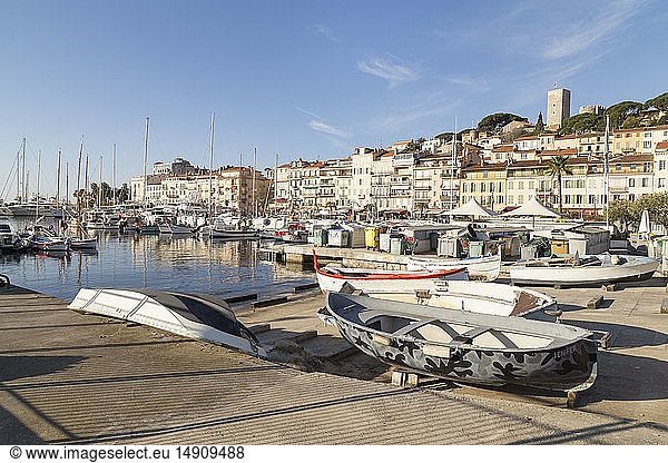 France  Alpes Maritimes  Cannes  the old port and its fishing boats  in the background the Suquet with the bell tower of the Church Notre-Dame-de-l'Espérance and the tower of Suquet