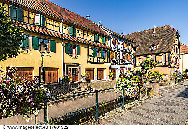 France  Alsace  Ribeauville  Half-timbered townhouses in summer