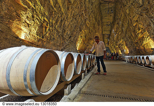 France  Aude  Corbieres  Portel des Corbieres  Terra Vinea  Rocbere wine cellars in old mines of gypsum converted into wine warehouses at 80 m underground which shelters 1500 wine barrels