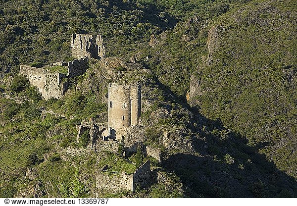 France  Aude  Portel des Corbieres  the castles of Lastours