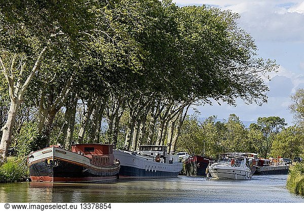 France  Aude  Saint Nazaire d'Aude  Canal du Midi listed as World Heritage by UNESCO  Port of Somail  traffic of boats of tourism with barges and background plane trees