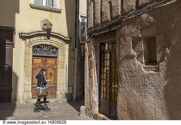 France  Aveyron  Rodez  stone head pig