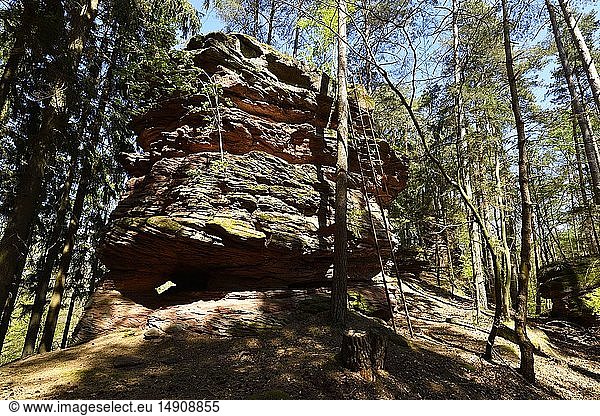 France  Bas Rhin  Dambach  pink sandstone strange rocks