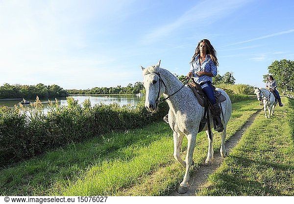France  Bouches du Rhone  Camargue Regional Nature Park  Saintes Maries de la Mer  La Cavale  horseback riding