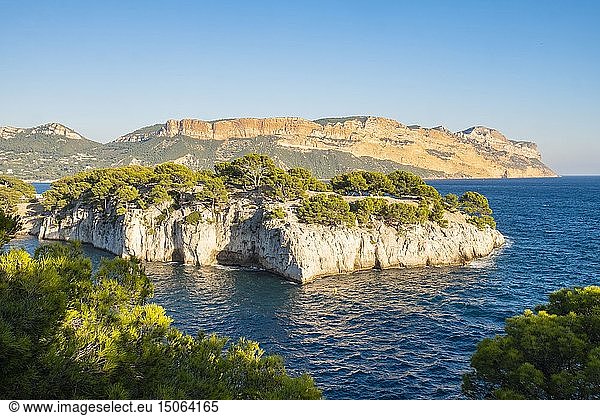 France  Bouches du Rhone  Cassis  the cove of Port Pin and Cap Canaille in the background  National Park of Calanques