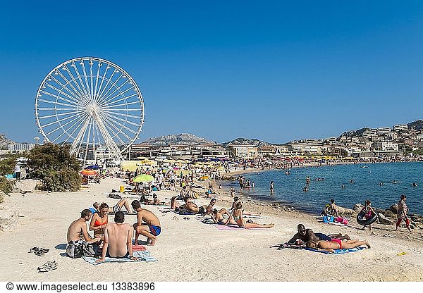 France  Bouches du Rhone  Marseille  the Prado beaches  the Borely beach and the Big Wheel