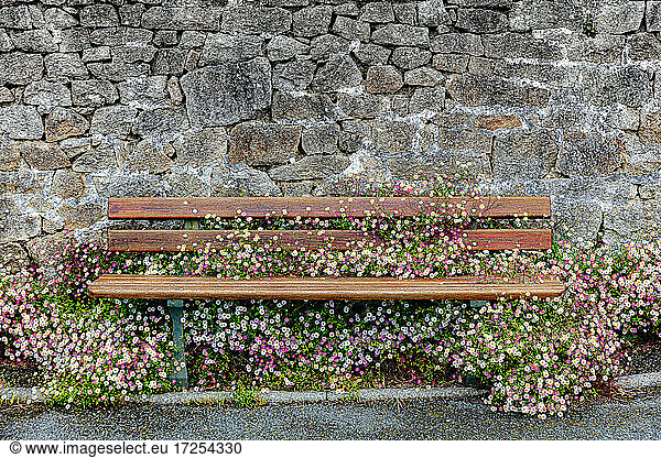France  Bretagne  Finistere sud  Old stone wall and bench overgrown with flowers