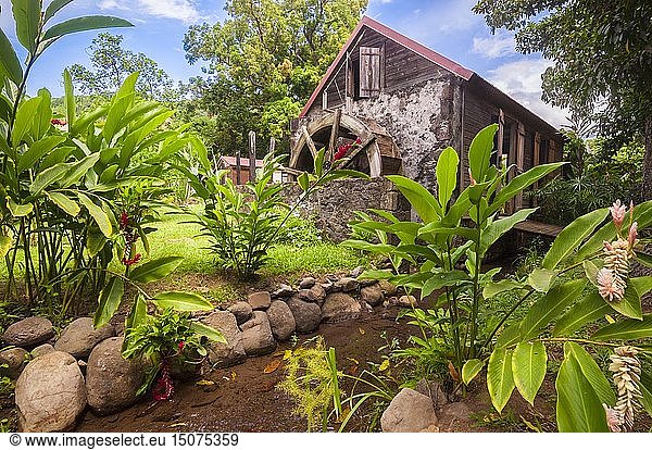 France  Caribbean  Lesser Antilles  Guadeloupe  Basse-Terre  Vieux Habitants  on the heights of the town  Habitation L'Oiseau  old colonial house converted into a bed and breakfast  here the bonification room of the nineteenth century and its paddlewheel