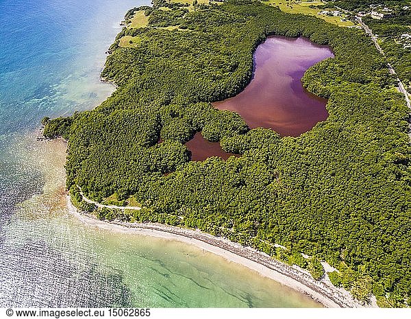 France  Caribbean  Lesser Antilles  Guadeloupe  Grande-Terre  Le Gosier  aerial view of the Salines beach  mangrove in the background (aerial view)