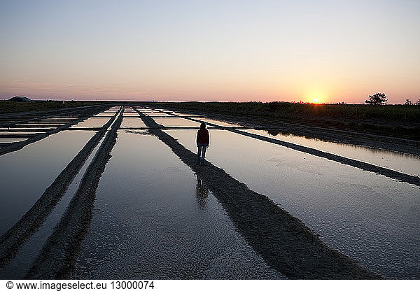 France Charente Maritime Ile de Re Loix en Re anse du Fier d'Ars sunset over the saltmarsh