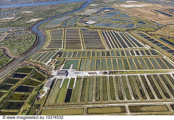France  Charente Maritime  Saint Just Luzac  marshes (aerial view)