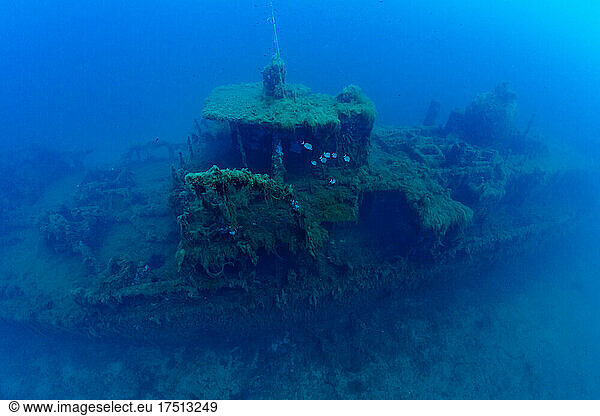 France  Corsica  Underwater view of Alcione C shipwreck - Italian tanker shelled and sunk during World War II