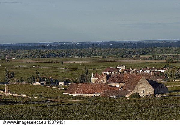 France  Cote d'Or  Cultural landscape of Burgundy climates listed as World Heritage by UNESCO  Vougeot  castle of Clos de Vougeot