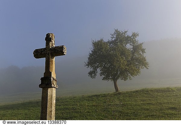 France  Cote d'Or  wayside cross and tree