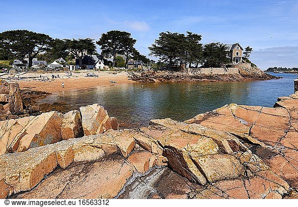 France  Cotes d'Armor  Ile de Brehat  small beach and pink granite rocks in the cove of la Chambre