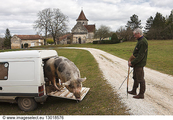 France  Dordogne  around Mareuil  Excavation  truffle hunting with Mr. Thatch and sow Nini