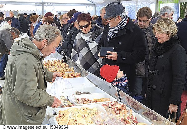 France  Dordogne  Perigord  Perigueux  Place Saint Louis  fair to fat  farm producers sell their duck breasts  whole ducks  foie gras of duck or goose  confit ...