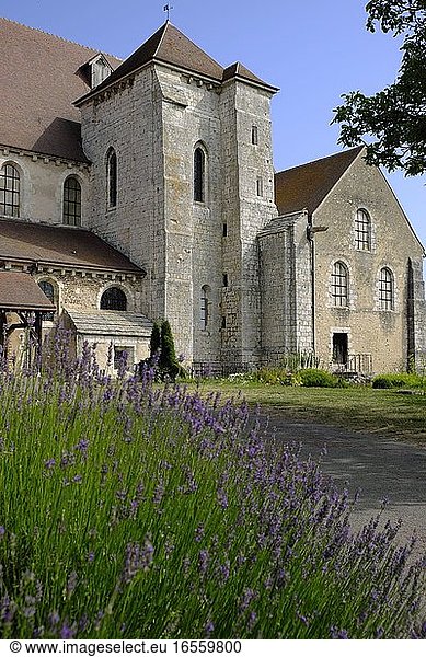 France  Eure et Loir  Chartres  Saint Andre collegiale church