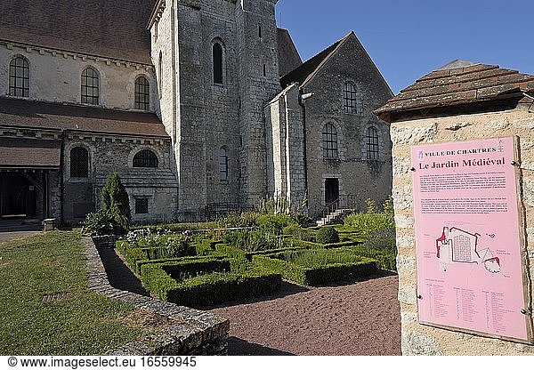 France  Eure et Loir  Chartres  Saint Andre collegiale church  medieval garden