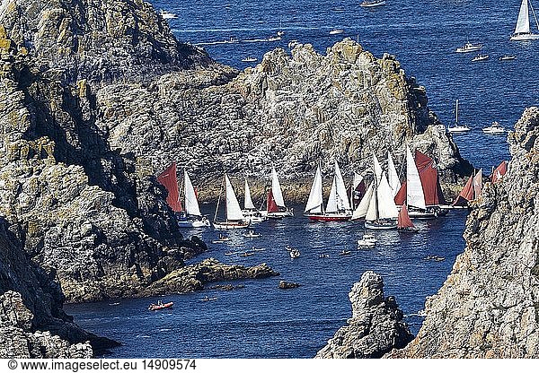 France  Finistère  Camaret sur mer  Maritime festival of Brest 2016  the great parade between Brest and Douarnenez on 19 July 2016  traditional boats in the Tas de Pois at the pointe de Pen-Hir (aerial view)