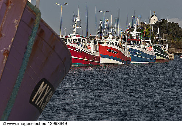 France  Finistere  Roscoff  fishing boats in harbor and the chapel of St Barbara
