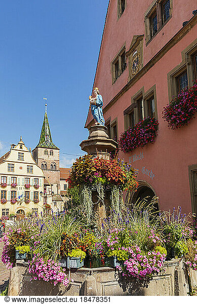 France  Grand Est  Turckheim  Figurine of virgin Mary on top of fountain covered in blooming flowers