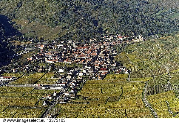 France  Haut Rhin  Alsace Wine Road  Kaysersberg (aerial view)