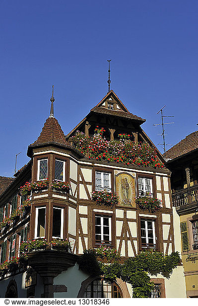 France  Haut Rhin  Alsace Wine Road  Kaysersberg  half-timbered house