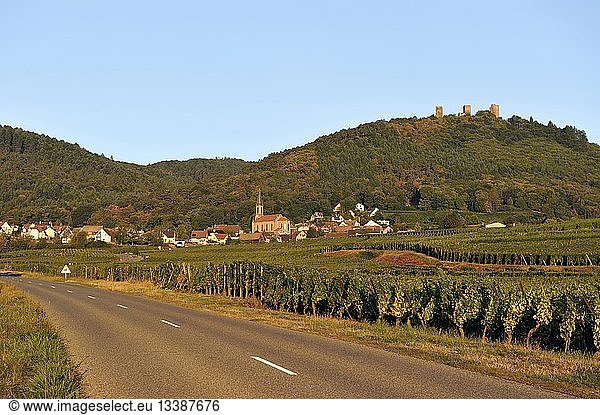 France  Haut Rhin  Alsace Wine Route  Husseren les Chateaux