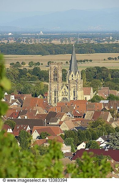 France  Haut Rhin  Alsace Wine Route  Rouffach  Notre Dame church