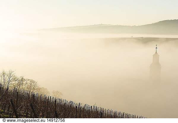France  Haut Rhin  Route des Vins d'Alsace  Riquewihr labelled Les Plus Beaux Villages de France (One of the Most Beautiful Villages of France)  the village in the morning mist in wintertime