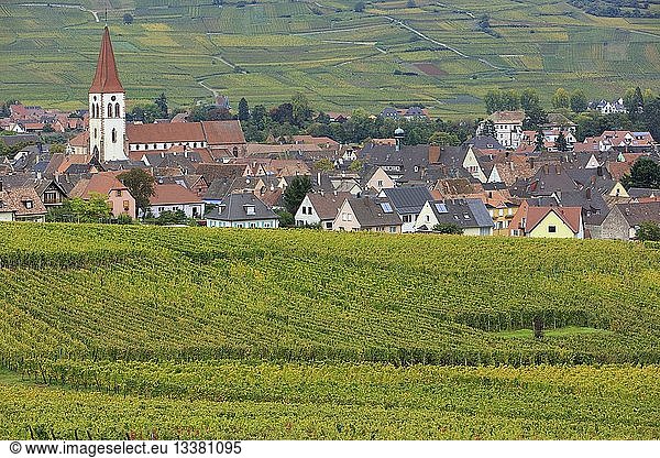 France  Haut Rhin  Route des Vins d'Alsace (Route of the wines of Alsace region)  Ammerschwihr  general view of the village and vinyards