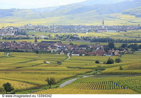 France  Haut Rhin  Route des Vins d'Alsace (Route of the wines of Alsace region)  Niedermorschwihr and Ammerschwihr  general view of the villages and the vineyard
