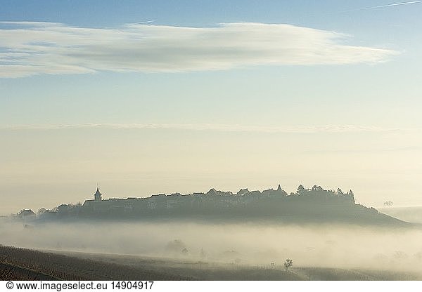 France  Haut Rhin  Route des Vins d'Alsace  Zellenberg  the village in the morning mist in wintertime