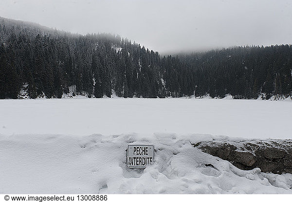 France  Haut Rhin  Vallee de Munster  landscape of the crests from Vosges in winter  Green lake under snow