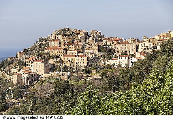 France  Haute Corse  Balagne  overview of the village of Belgodère