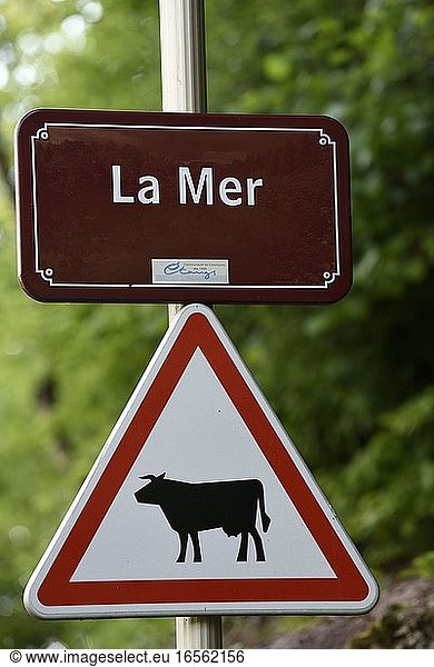 France  Haute Saone  Faucogney et la Mer  hamlet La Mer  panels  entrance of the hamlet  flock panel  cow