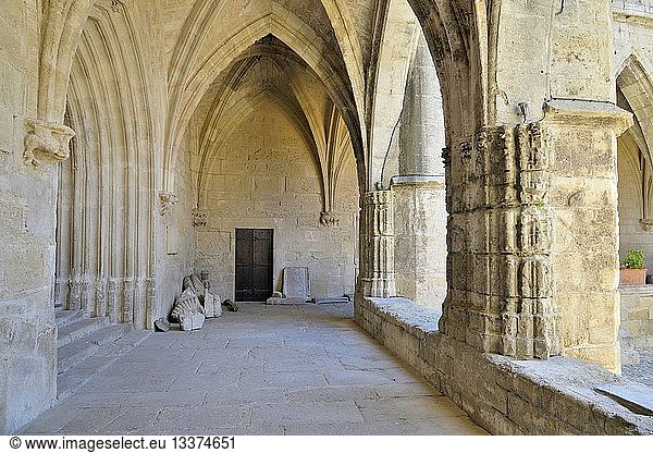 France  Herault  Beziers  Cathedral Saint Nazaire  convent which shelters a concise collection of statues