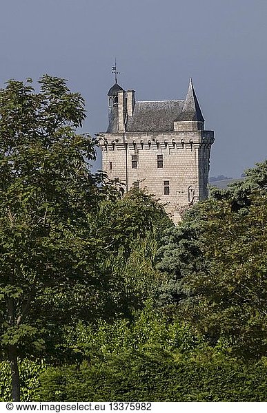 France  Indre et Loire  Loire river  castle of Chinon  area of Vienne river