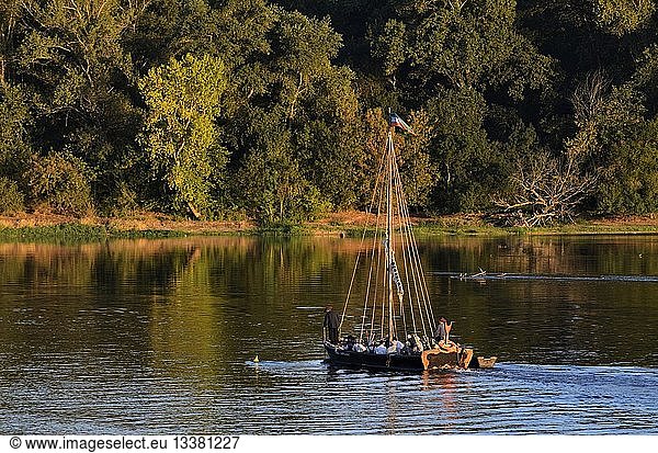 France  Indre et Loire  Loire Valley  listed as a World heritage site by UNESCO  La Chapelle sur Loire  traditionnal boat on the Loire river