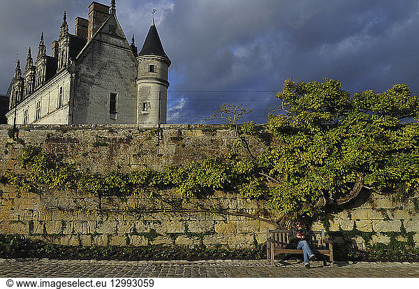 France  Indre et Loire  Loire Valley listed as World Heritage by UNESCO  Amboise  along the Loire River  the Castle