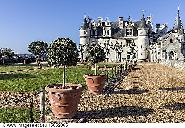 France  Indre et Loire  Loire valley listed as World Heritage by UNESCO  Amboise  Amboise castle  the castle of Amboise from the interior courtyard and the garden of Naples