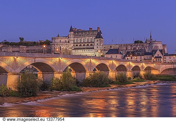 France  Indre et Loire  Loire Valley listed as World Heritage by UNESCO  Amboise  Royal castle of Amboise  Loire river banks  General Leclerc bridge  the historic town and castle at night